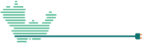 Startup Niger Delta